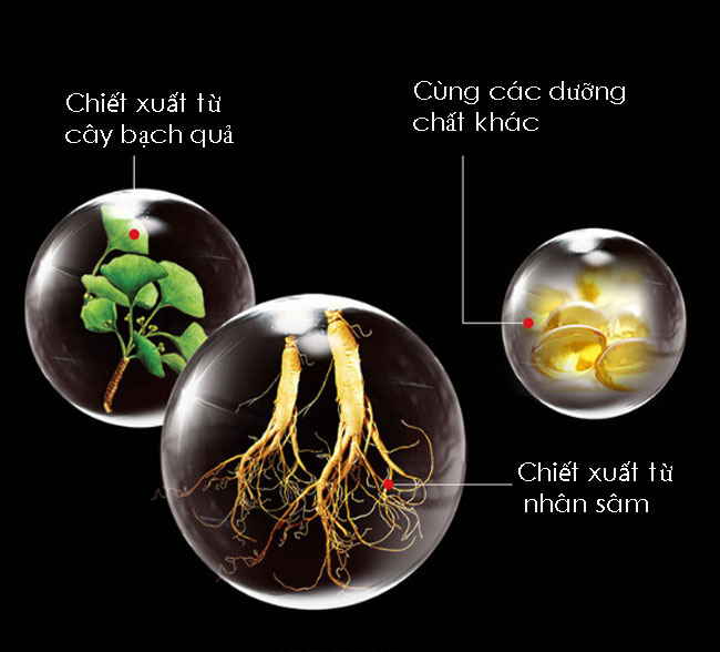 Gel bôi tăng cường sinh lý kích thước Piur Xtend cho nam giới