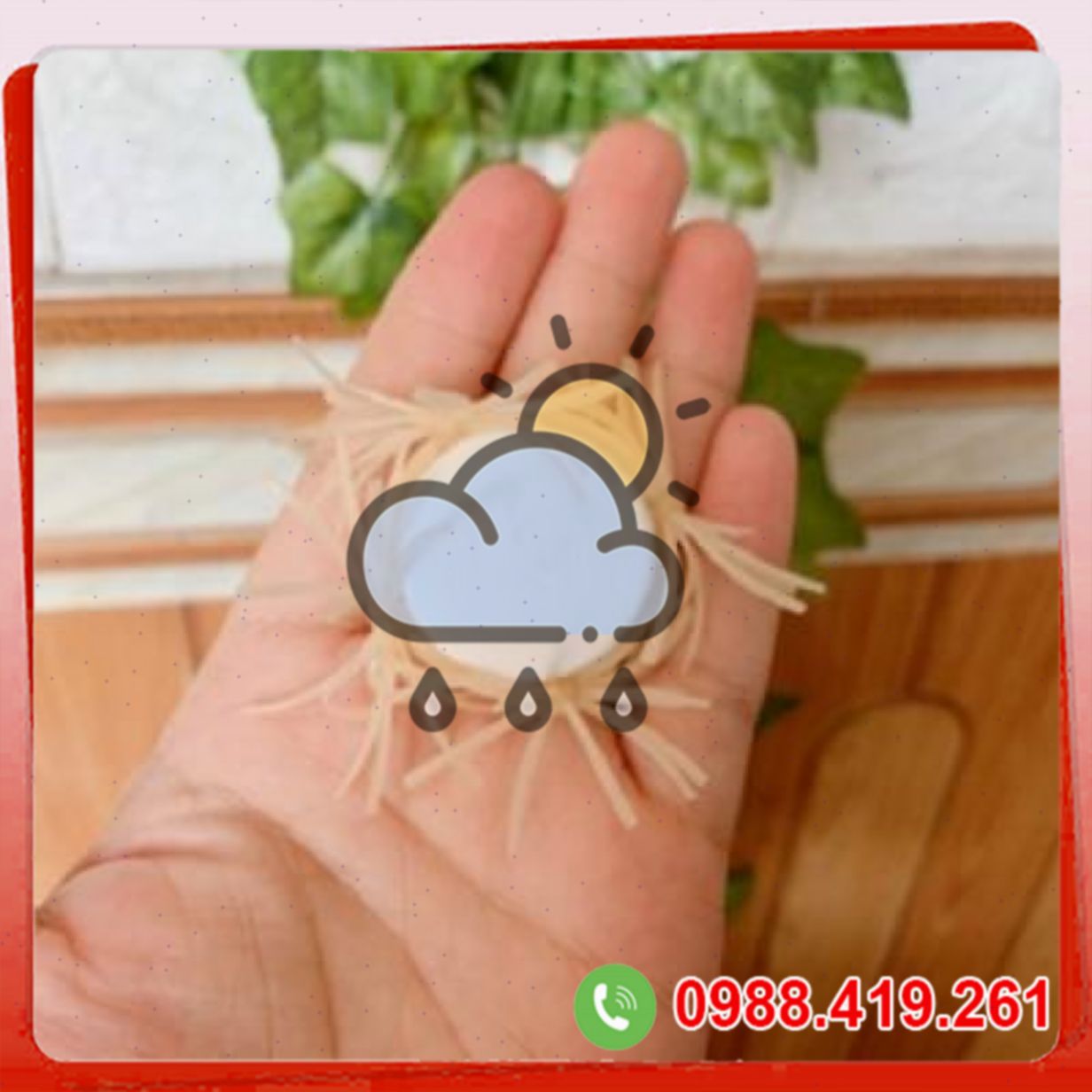 Râu rồng silicon 4 râu chống xuất tinh sớm kéo dài quan hệ nam nữ 