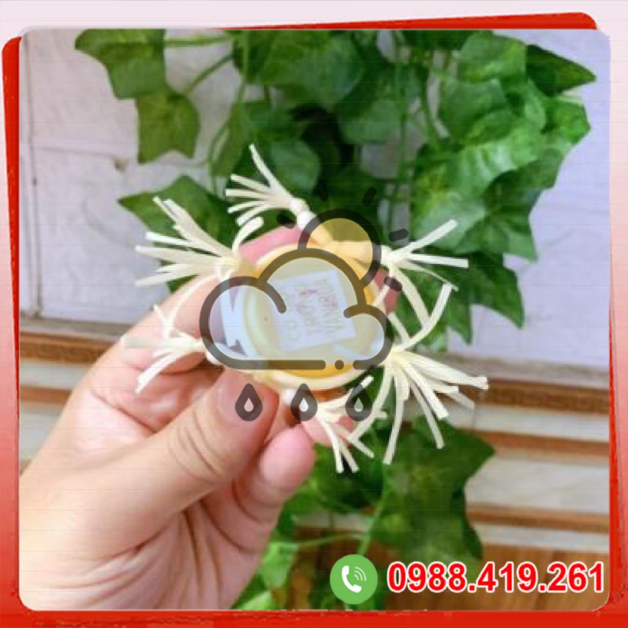 Vòng đeo râu rồng silicon 6 râu bi mềm mịn co dãn tốt tăng khoái cảm 