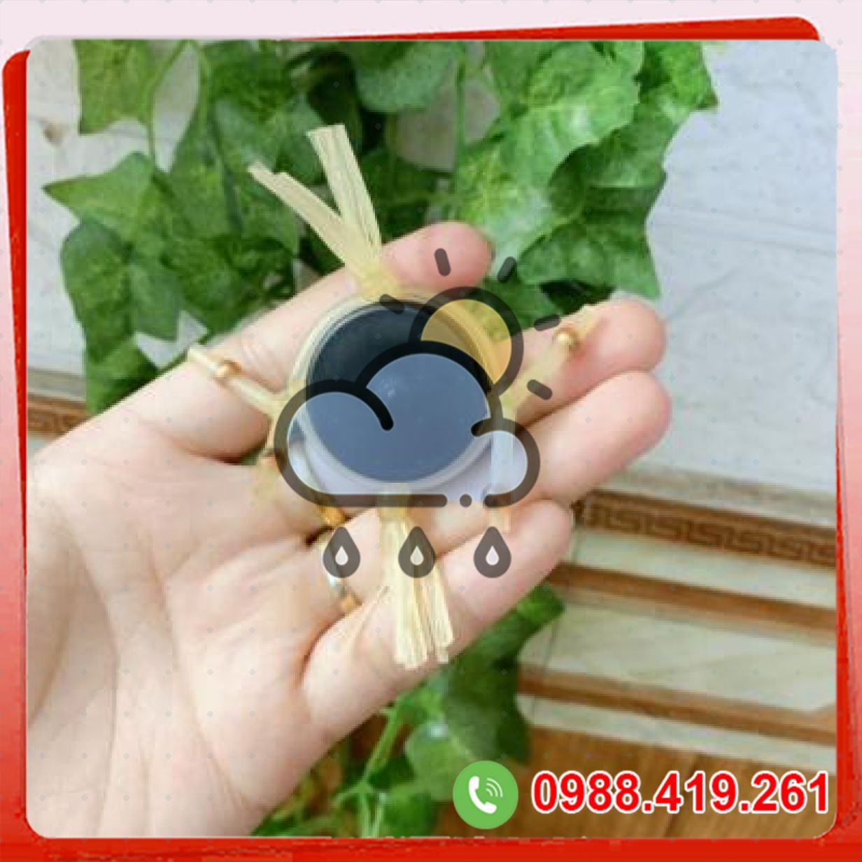 Vòng râu rồng silicon đeo dương vật 2 râu có bi co giãn tốt 