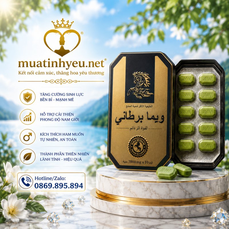 CƯỜNG DƯƠNG NGỰA THÁI NHẬP KHẨU