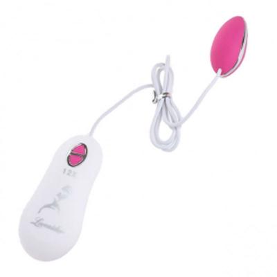 Trứng rung massage điểm G Loveaider nhựa cao cấp an toàn 