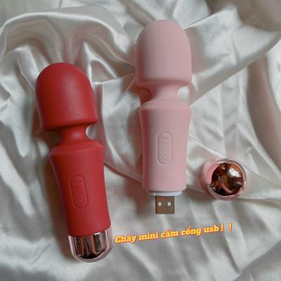 Chày rung mini nhiều chế độ cắm cổng USB tiện lợi bỏ túi 